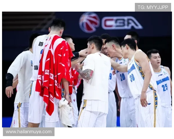 帕德伯恩与汉堡精彩对决直播全程回顾与分析